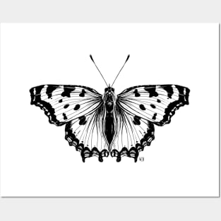 Not so real Butterfly II black-and-white Posters and Art